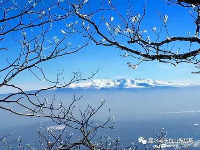 神秘侦探